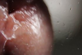 ناز گمراه دنی د، صاحب دیک بزرگ، برای جنس خشن.